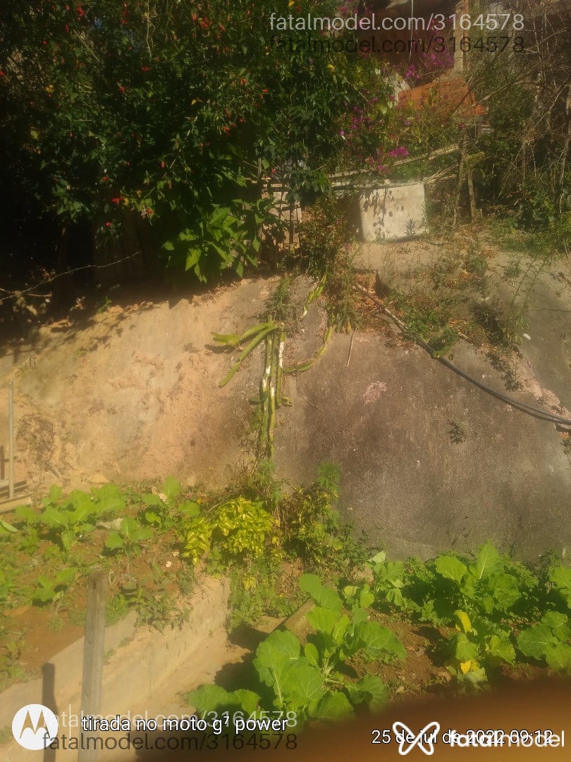 Acompanhante homem morena (o) de olhos pretos em Fazenda Rio Grande - Menezes