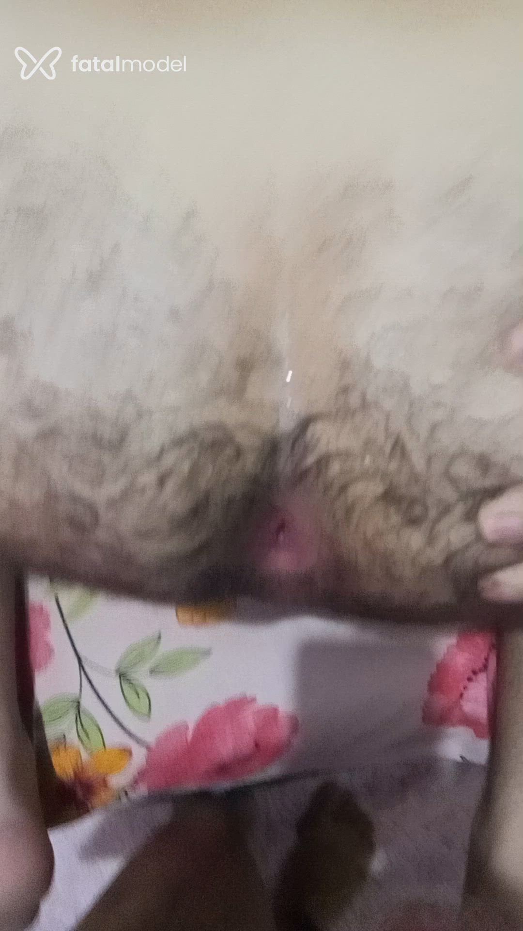 Vídeo 2