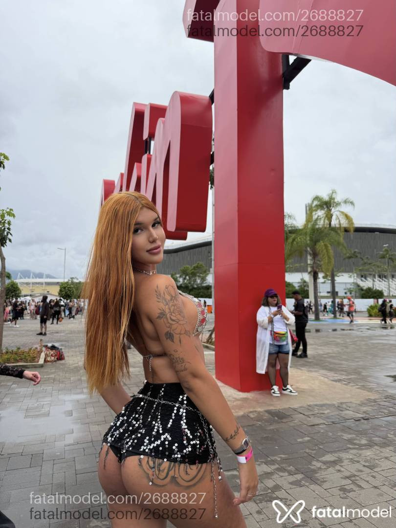 Imagem 6