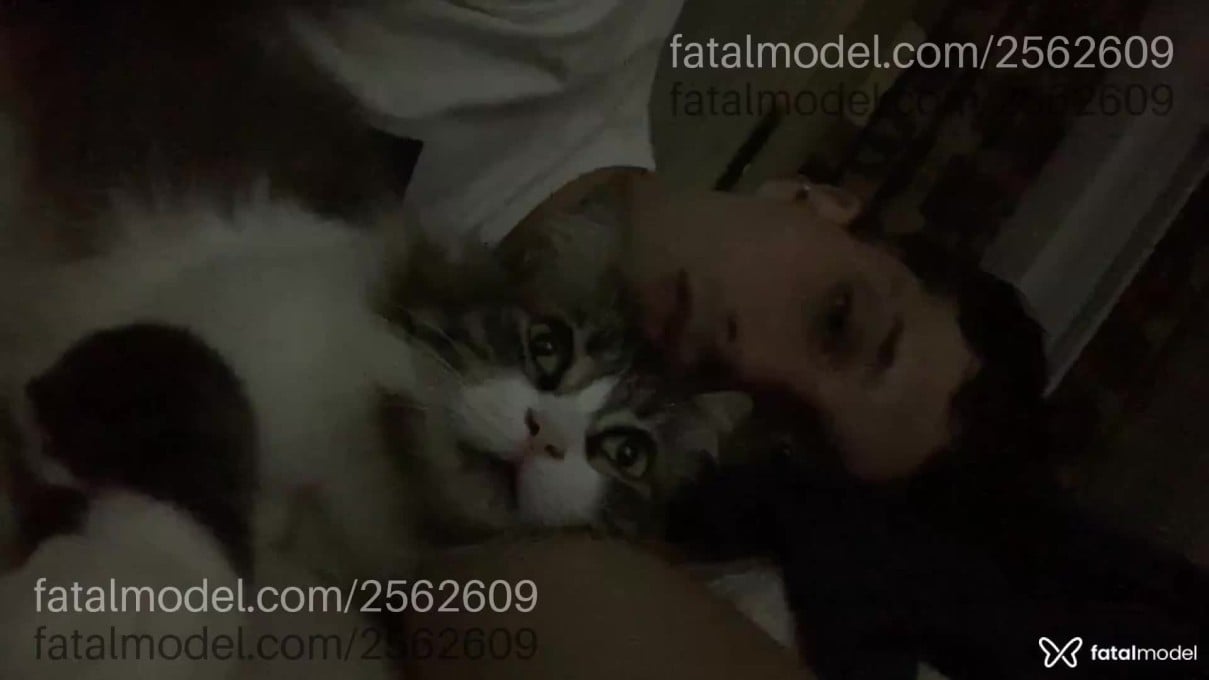 Acompanhante homem morena (o) de olhos castanhos em Vitória - Guilherme Freitas