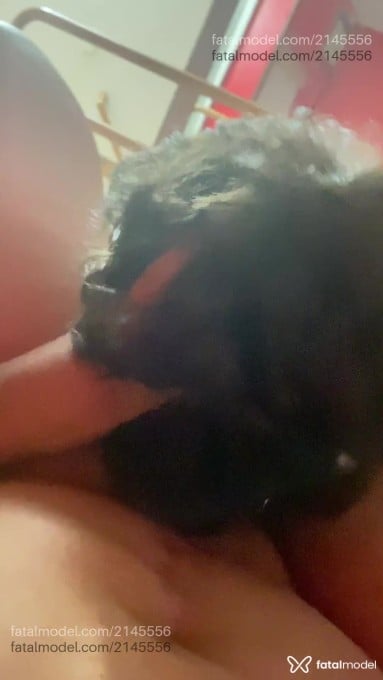 Acompanhante mulher com cabelo castanho de olhos castanhos em Valparaíso de Goiás - Melissa