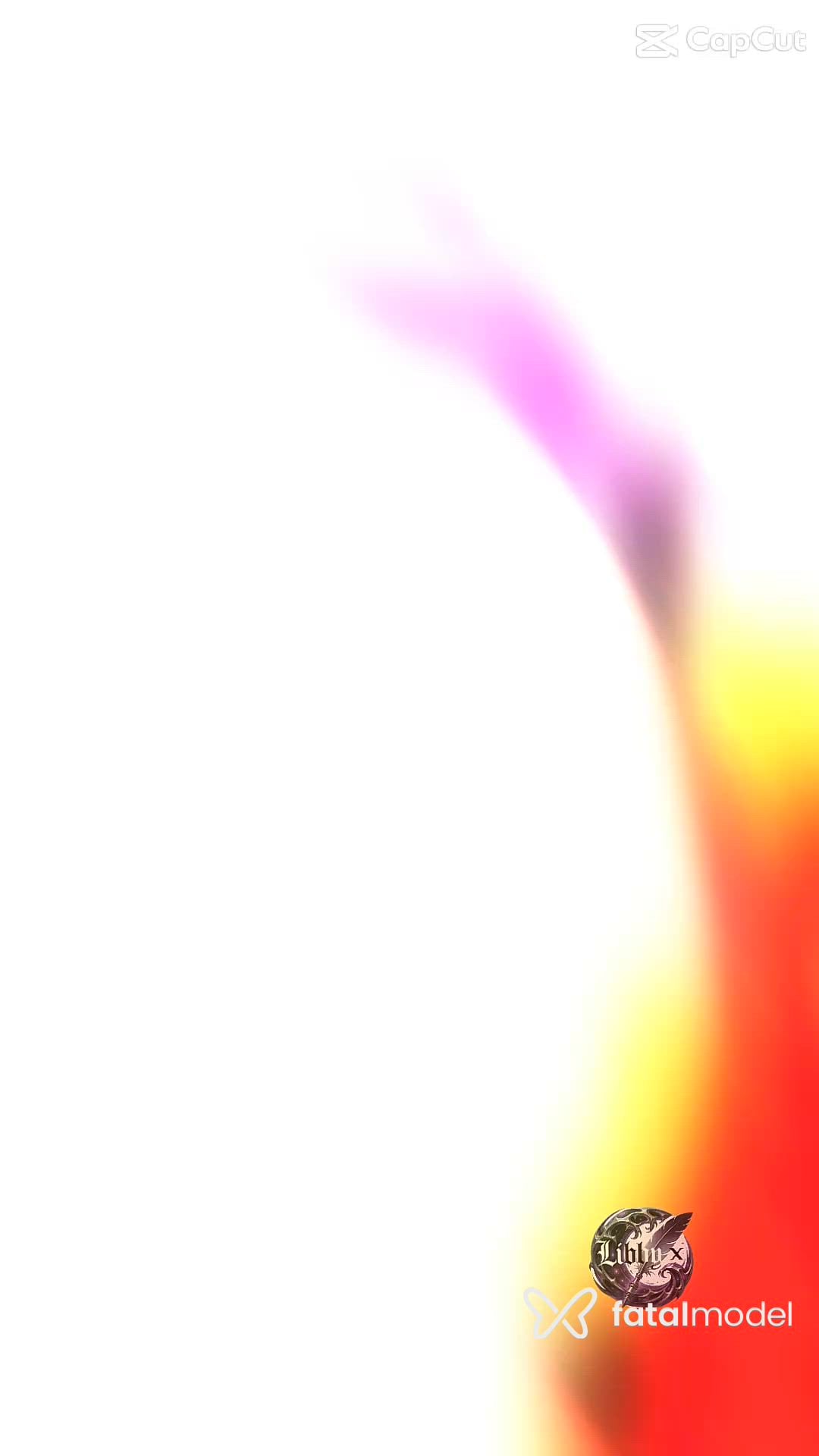 Vídeo 2