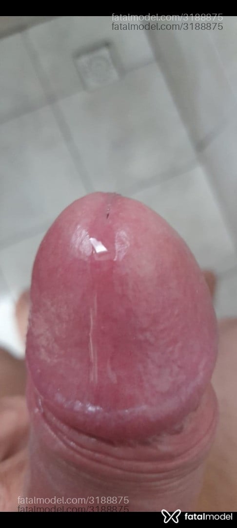 Acompanhante homem com cabelo grisalho de olhos castanhos em Pelotas Acompanhante homem com cabelo grisalho de olhos castanhos em Pelotas - Barth
