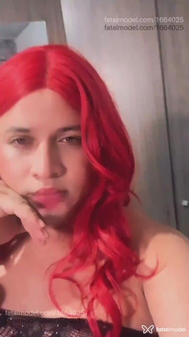 Acompanhante mulher trans morena (o) de olhos castanhos em Sinop - Kemilly santos