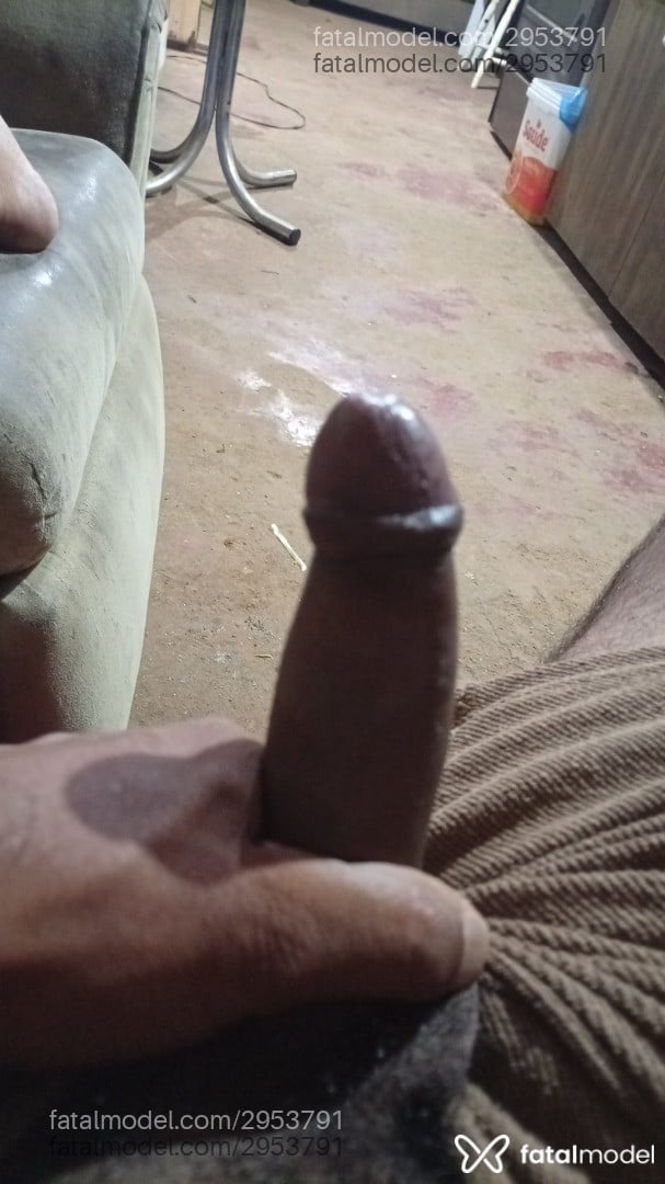 Imagem 11