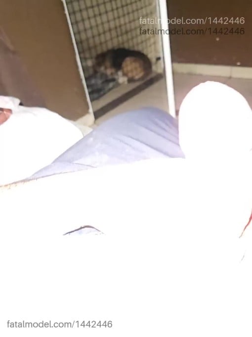 Vídeo 4