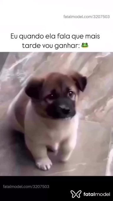 Vídeo 2