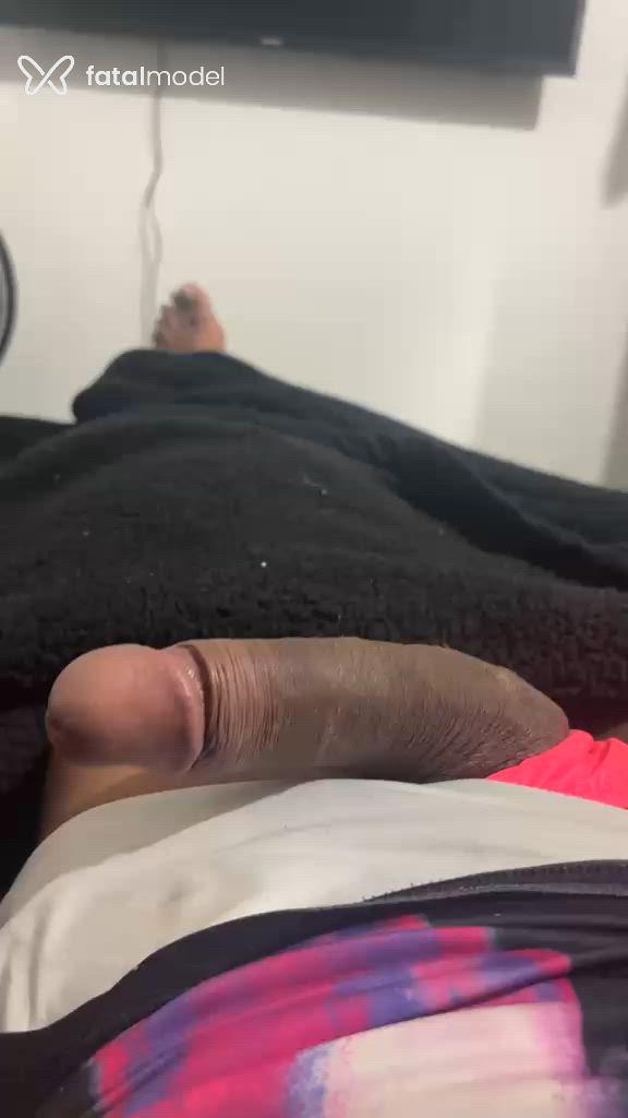 Acompanhante mulher trans morena (o) de olhos mel em Curitiba - Rayssa Nogueira