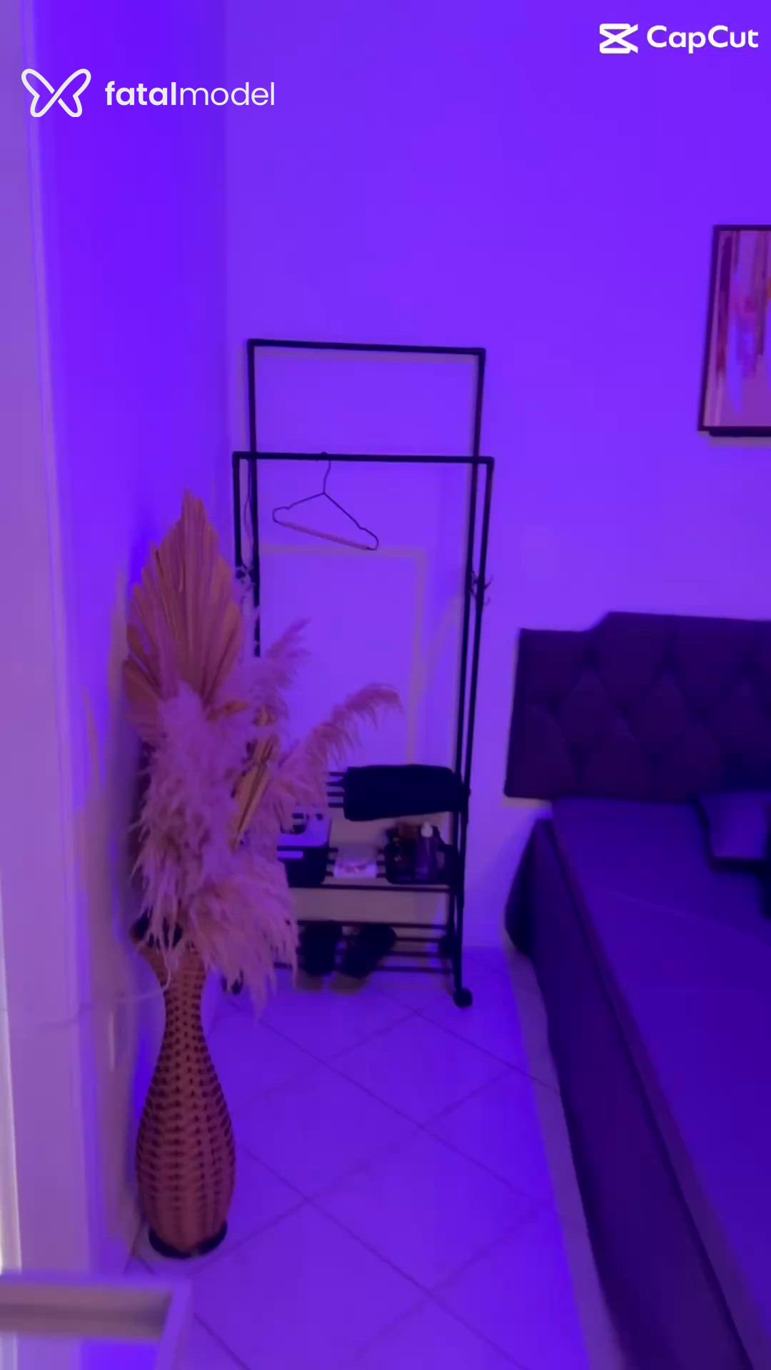Vídeo 6