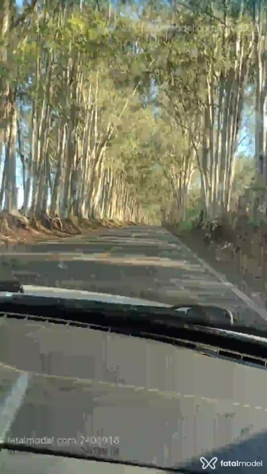 Acompanhante homem morena (o) de olhos castanhos em Maringá - Fernando