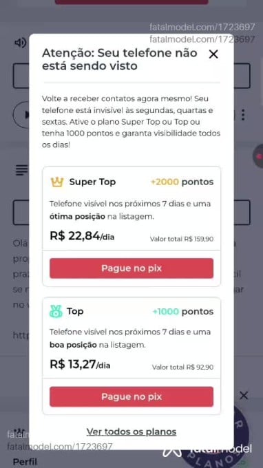 Acompanhante mulher com cabelo castanho de olhos castanhos em Iguaba Grande Acompanhante mulher com cabelo castanho de olhos castanhos em Iguaba Grande - Jaquelineborboleta