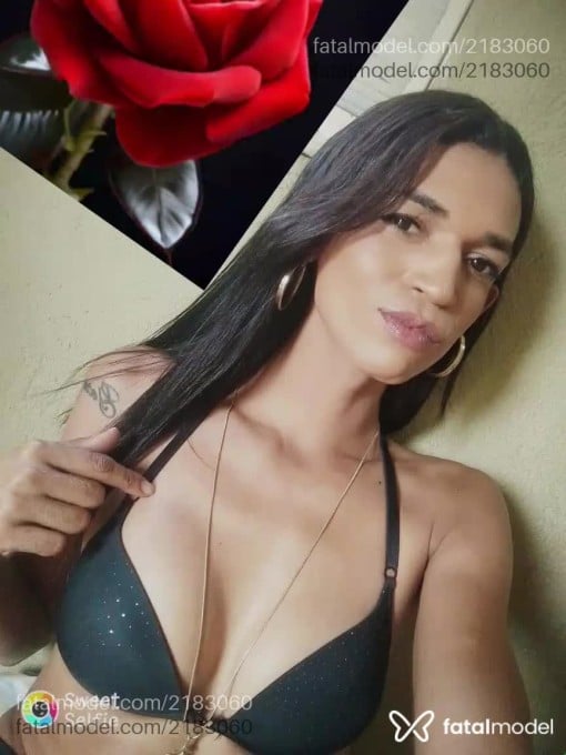 Acompanhante mulher trans morena (o) de olhos castanhos em Campinas - Veronyka Oliveira