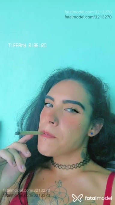 Acompanhante mulher trans morena (o) de olhos castanhos em Joinville - Isabely Safafinha