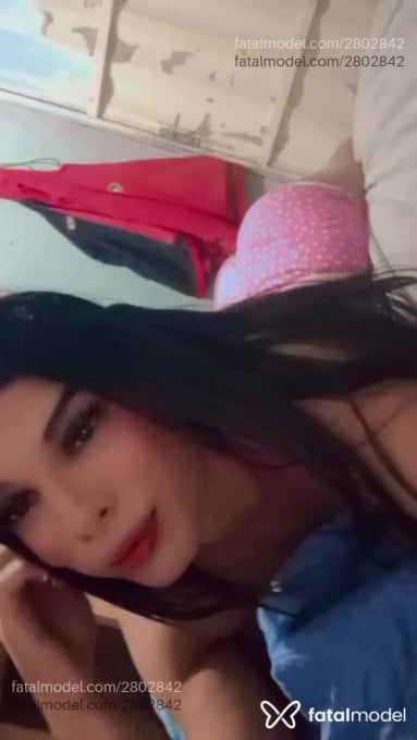 Acompanhante mulher trans morena (o) de olhos pretos em Balneário Camboriú - Beatriz Trix