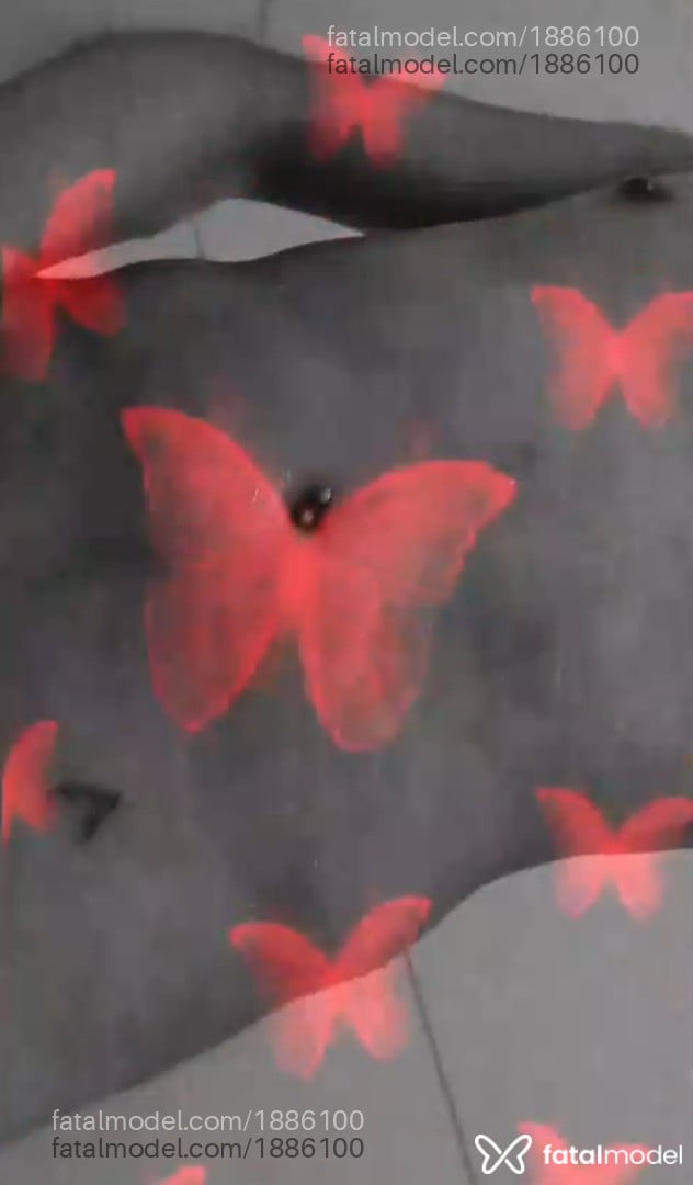 Imagem 6
