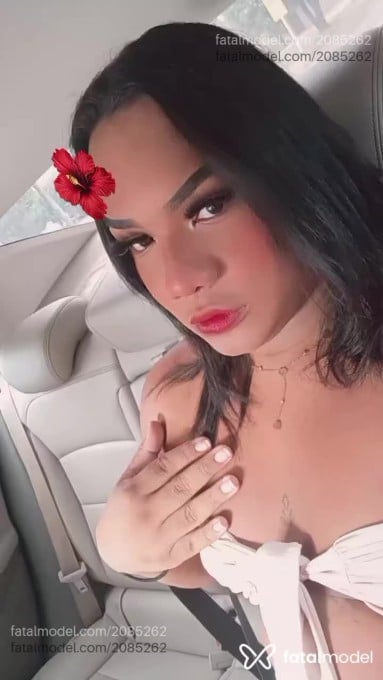 Acompanhante mulher trans morena (o) de olhos castanhos em Lucas do Rio Verde - árina