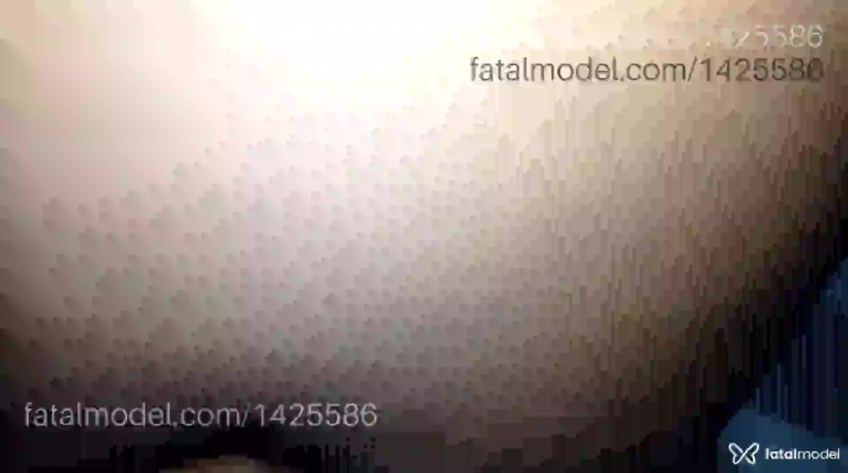 Vídeo 11