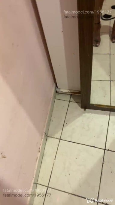 Acompanhante mulher trans morena (o) de olhos pretos em São Paulo - Yasmin Almeida