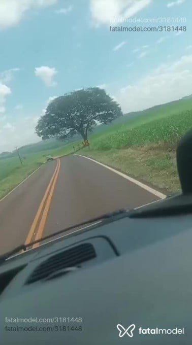 Acompanhante homem com cabelo grisalho de olhos castanhos em Tapejara Acompanhante homem com cabelo grisalho de olhos castanhos em Tapejara - Paupequeno