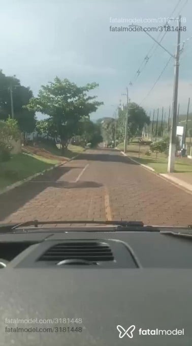 Acompanhante homem com cabelo grisalho de olhos castanhos em Tapejara Acompanhante homem com cabelo grisalho de olhos castanhos em Tapejara - Paupequeno