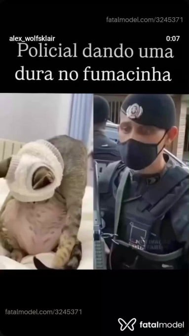 Acompanhante homem com cabelo castanho de olhos pretos em Fortaleza Acompanhante homem com cabelo castanho de olhos pretos em Fortaleza - Indio Zen