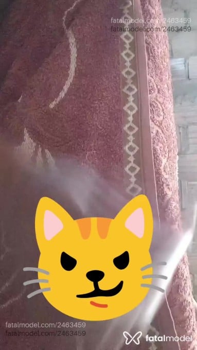 Acompanhante mulher trans com cabelo castanho de olhos pretos em Marabá - Kauanny