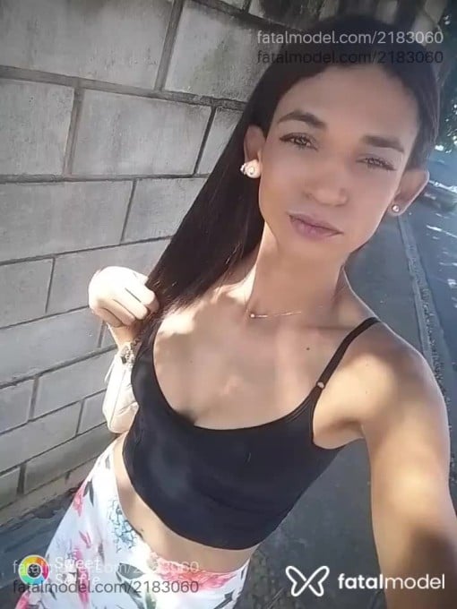 Acompanhante mulher trans morena (o) de olhos castanhos em Campinas - Veronyka Oliveira