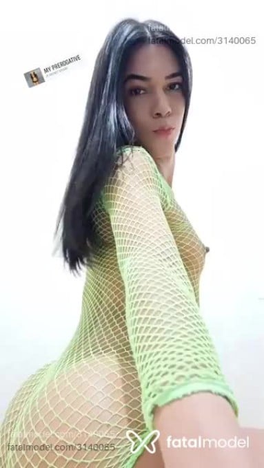 Acompanhante mulher trans morena (o) de olhos castanhos em Marabá - TransPutinha