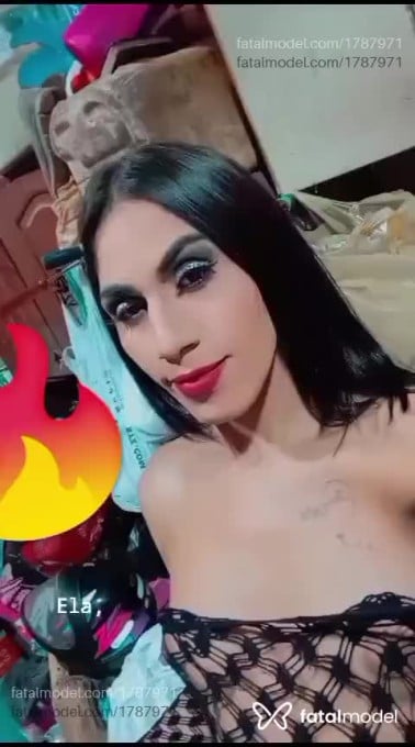 Acompanhante mulher trans morena (o) de olhos pretos em Porto Velho Acompanhante mulher trans morena (o) de olhos pretos em Porto Velho - Patrícia