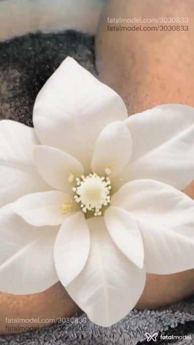 Acompanhante mulher morena (o) de olhos castanhos em Virtual - Adrih
