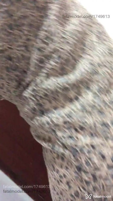 Vídeo 8