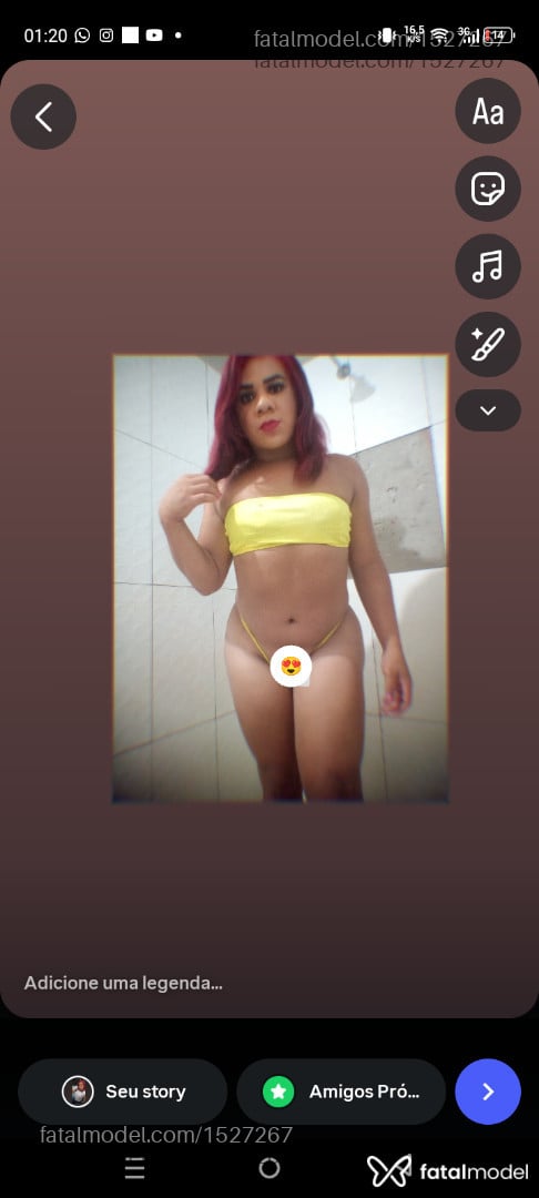 Acompanhante mulher trans com cabelo castanho de olhos castanhos em Jacundá - Rafaela