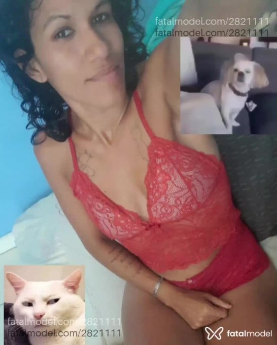 Acompanhante mulher morena (o) de olhos castanhos em Ji-Paraná - Samantha Mor
