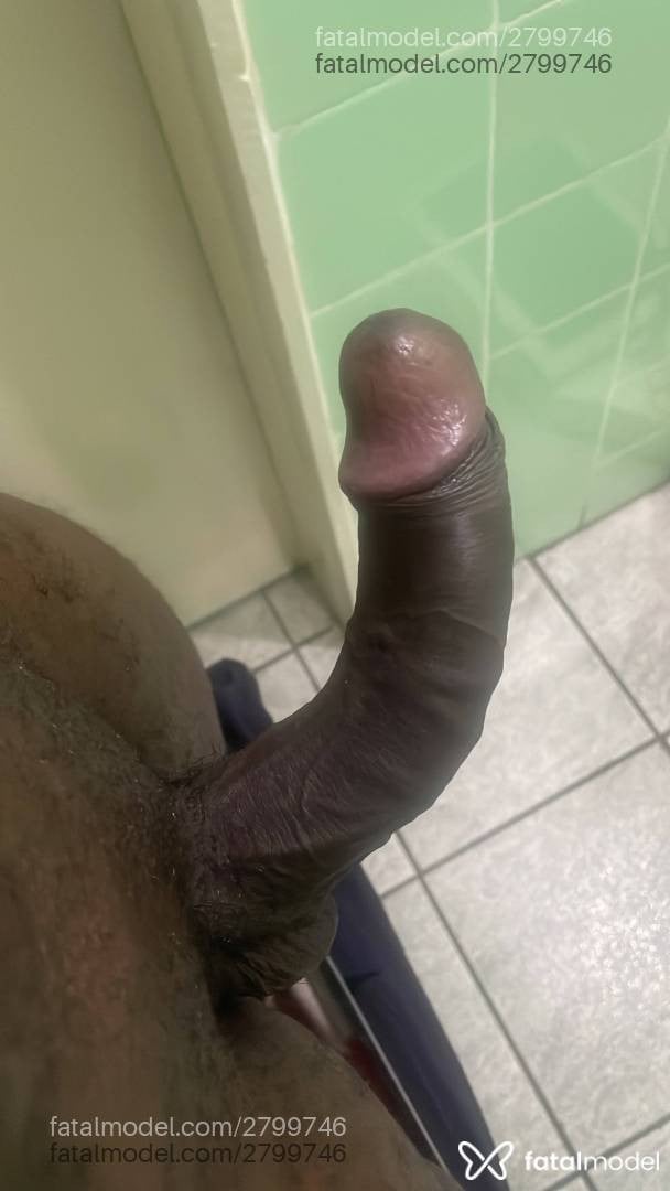 Acompanhante homem morena (o) de olhos castanhos - Nogueira