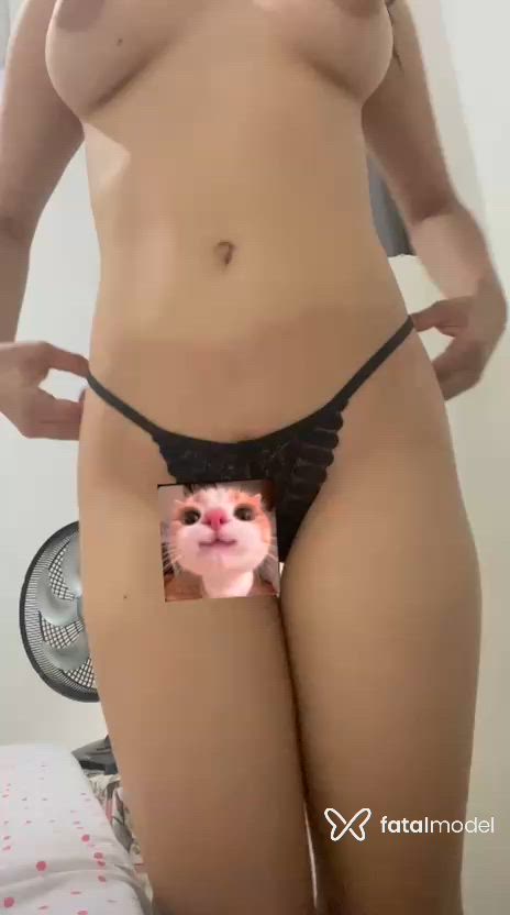Vídeo 1