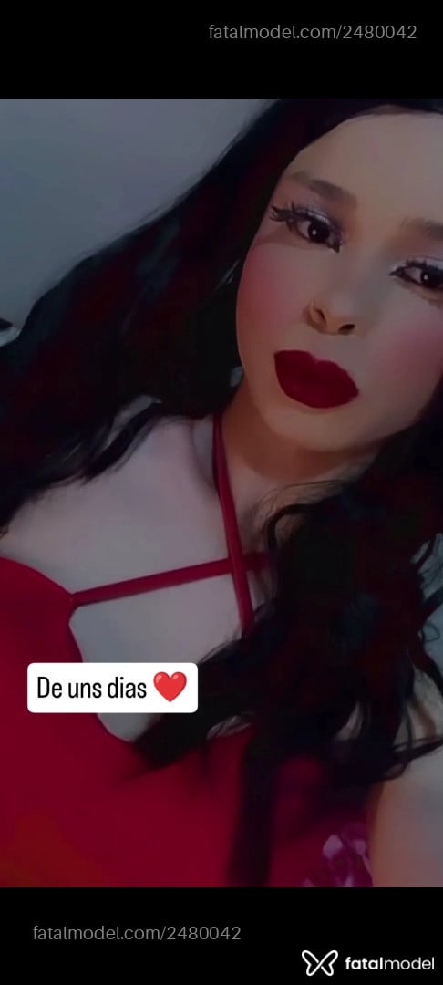 Acompanhante mulher trans morena (o) de olhos castanhos em Pinhais - Fernanda