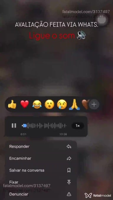 Vídeo 12