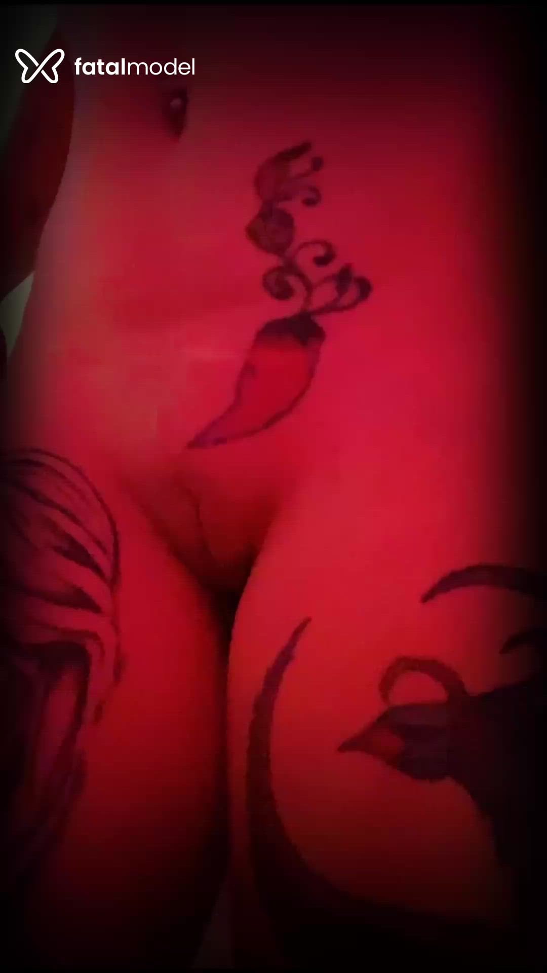 Vídeo 1