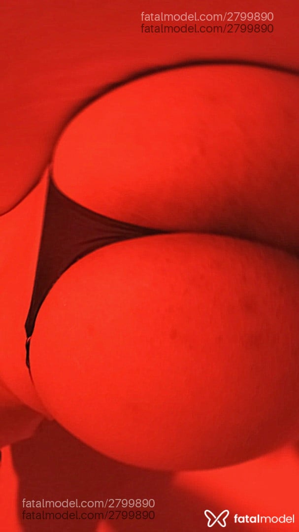 Acompanhante mulher trans com cabelo castanho de olhos castanhos em Goianésia - Gaby