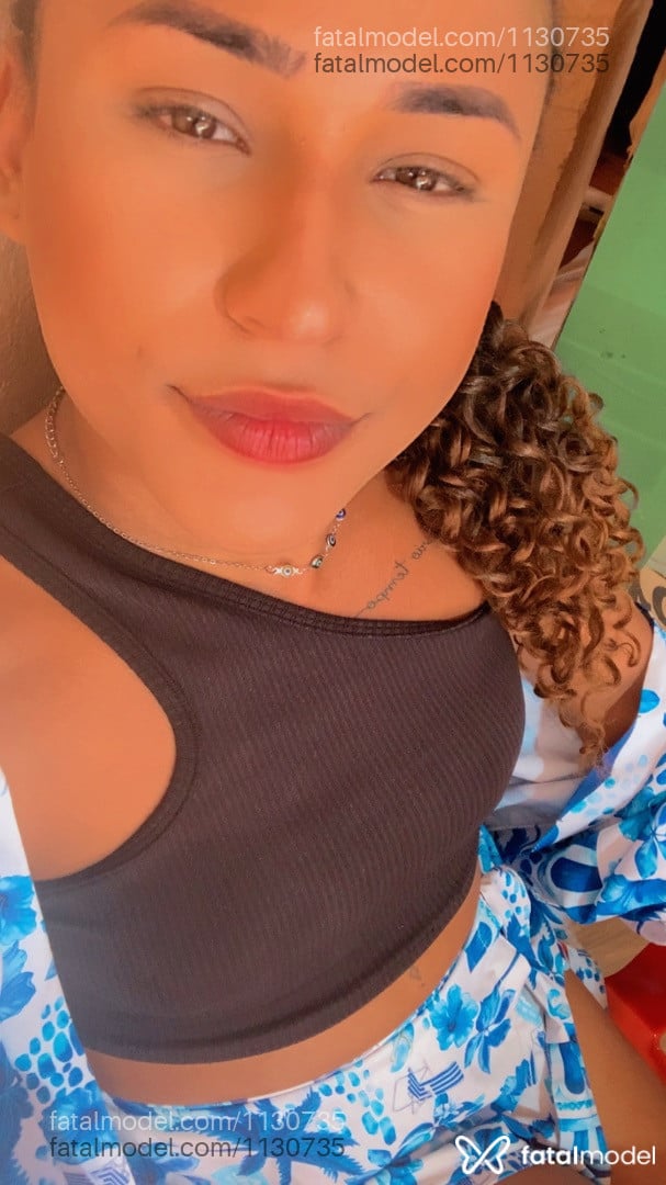 Acompanhante travesti morena (o) de olhos castanhos em Ribeirão do Pinhal - Steffany