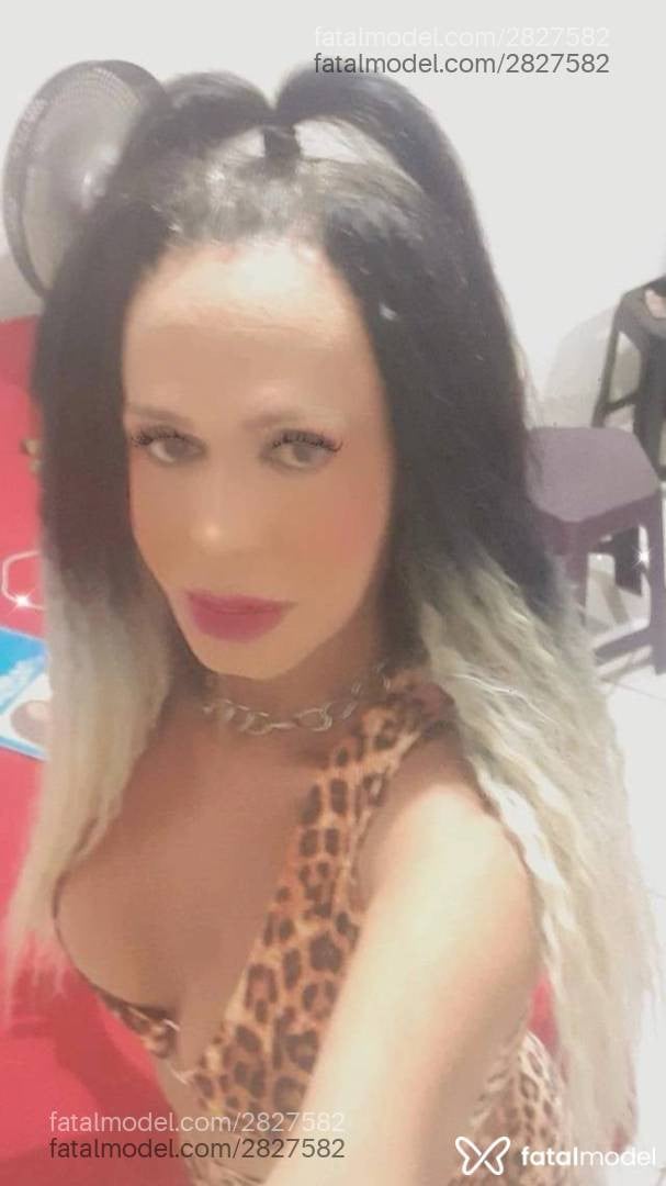 Acompanhante mulher trans morena (o) de olhos castanhos - Gisele