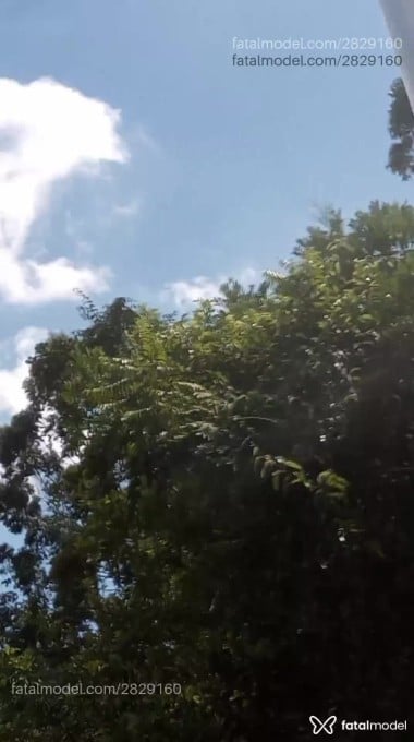 Acompanhante mulher com cabelo castanho de olhos verdes em Itajaí - Natasha Sena