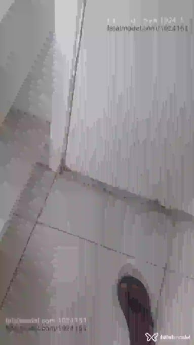 Acompanhante mulher trans morena (o) de olhos castanhos em Ribeirão Preto - Paulo Henrique