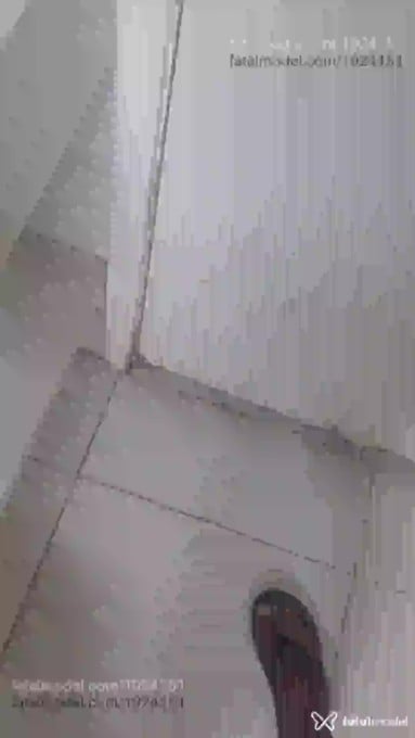 Acompanhante mulher trans morena (o) de olhos castanhos em Ribeirão Preto - Paulo Henrique