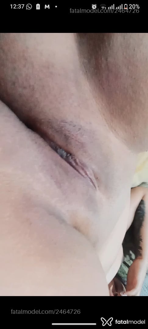 Acompanhante mulher com cabelo castanho de olhos mel em Ponta Grossa - Laraaa