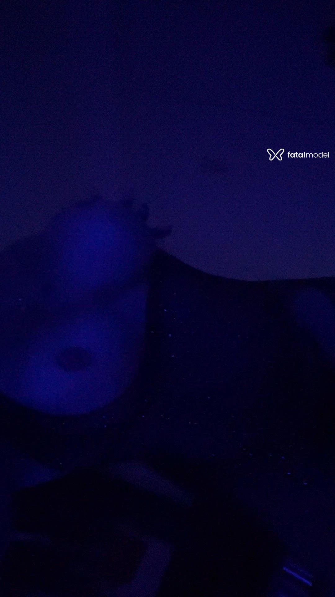 Vídeo 5