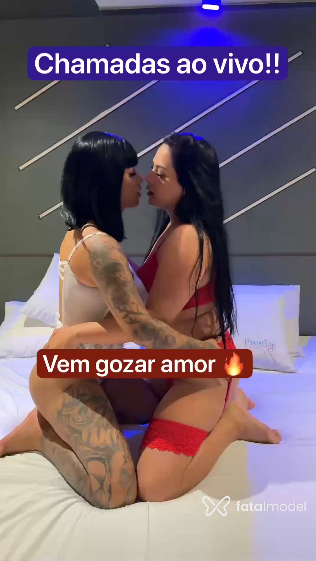 Vídeo 1