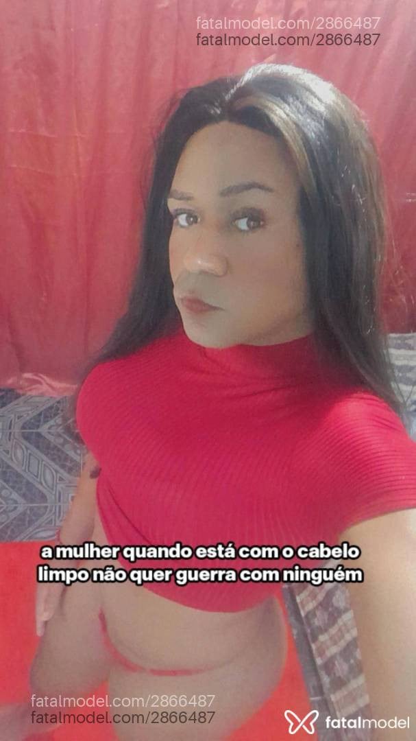 Imagem 12