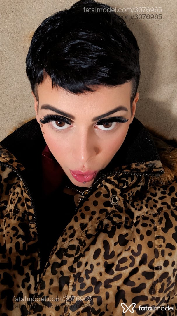 Acompanhante mulher trans morena (o) de olhos castanhos em Passo Fundo - Emerson Molina