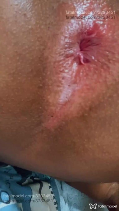 Acompanhante mulher trans morena (o) de olhos pretos em Maceió - Aylla Victória
